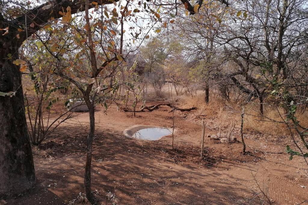 Villa Amukela Kaya Hoedspruit Exterior foto